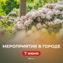 Чем заняться в воскресенье? Собрали самые интересные мероприятия в нашем дайджесте