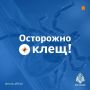 Безопасность выходного дня: отдых на природе