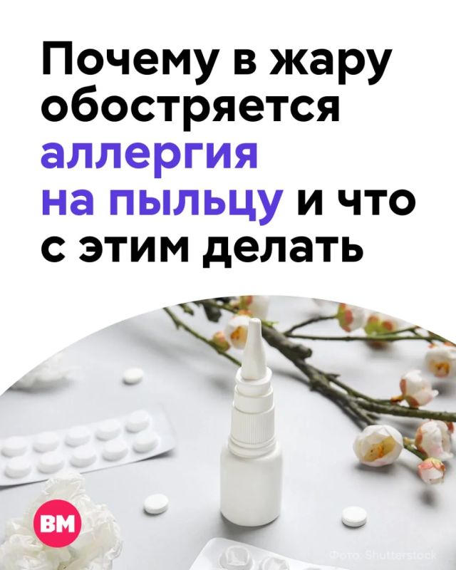 Из-за высоких температур в воздухе резко выросла концентрация пыльцы, а к ней добавились активно цветущие сорняки