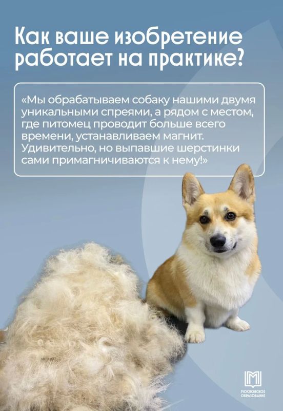 Не пылесос, а физика: московские школьники решили проблему линьки собак Не пылесос, а физика: московские школьники решили проблему линьки собак