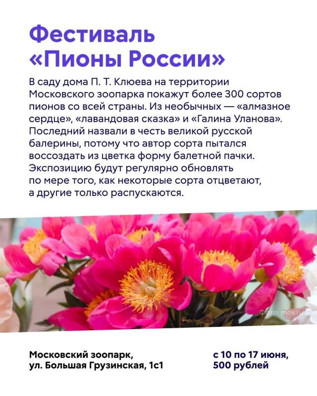 Новая неделя — новые рекомендации! Новая неделя — новые рекомендации!