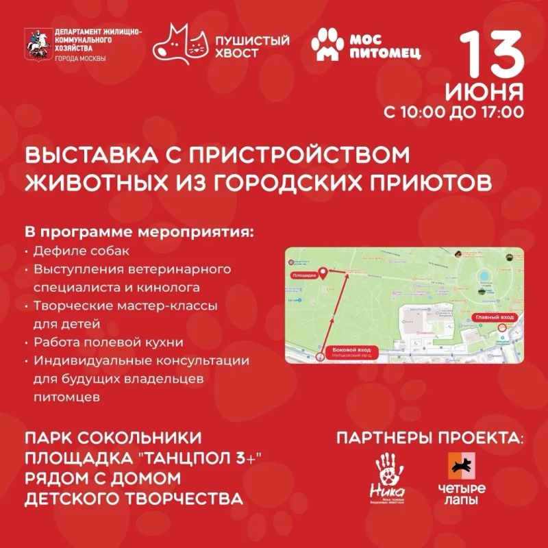 «Пушистый хвост» улизнул в Сокольники!