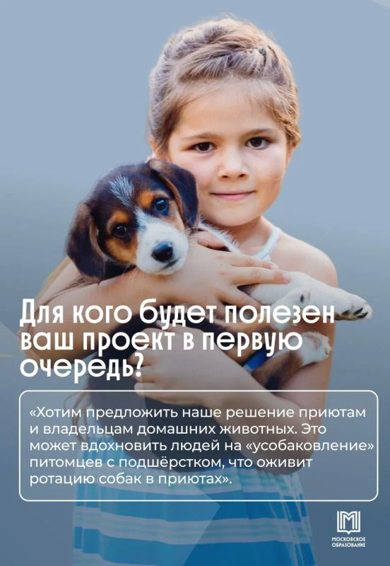 Не пылесос, а физика: московские школьники решили проблему линьки собак Не пылесос, а физика: московские школьники решили проблему линьки собак