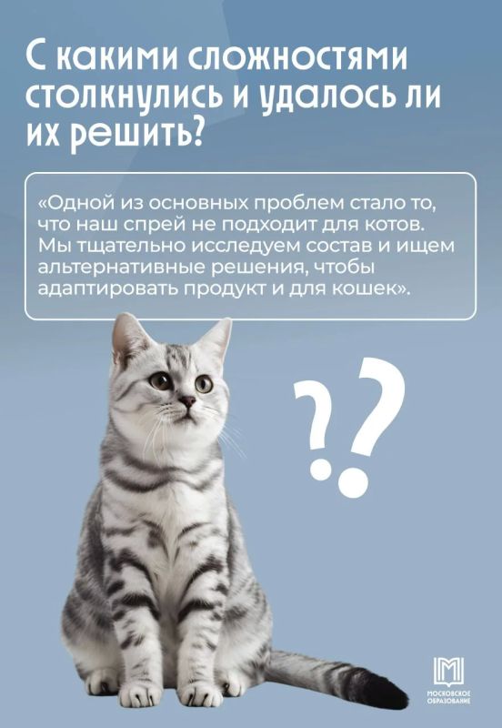 Не пылесос, а физика: московские школьники решили проблему линьки собак Не пылесос, а физика: московские школьники решили проблему линьки собак