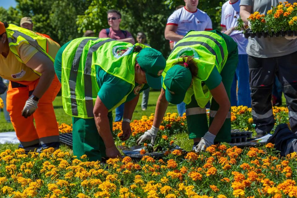 В Москве выбрали лучших озеленителей В Парке Победы прошёл финал ежегодного городского конкурса «Московские мастера» В Москве выбрали лучших озеленителей В Парке Победы прошёл финал ежегодного городского конкурса «Московские мастера»