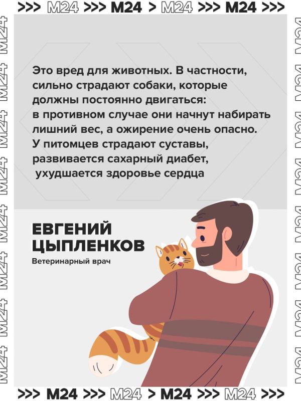 Выгул в колясках вреден и опасен для животных Выгул в колясках вреден и опасен для животных
