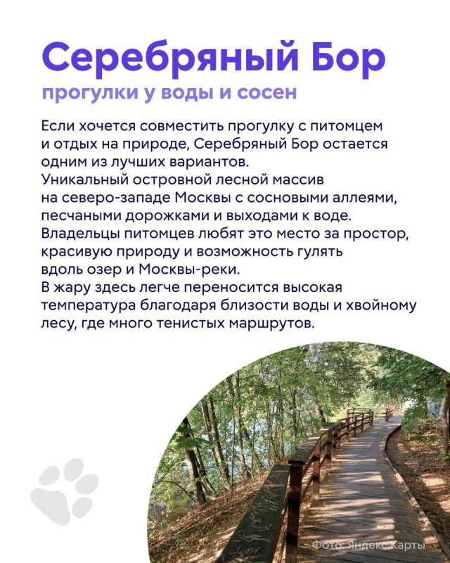 Лето, жара… а вашему питомцу хочется приключений? Лето, жара… а вашему питомцу хочется приключений?