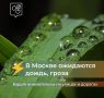 В Москве ожидаются кратковременный дождь и гроза