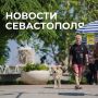 Михаил Развожаев: Коротко о главном:. Наши военные, авиация, силы ПВО и мобильные огневые группы за последние сутки отразили восемь атак ВСУ