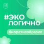 ������� #����������: ������������� ������������ ������