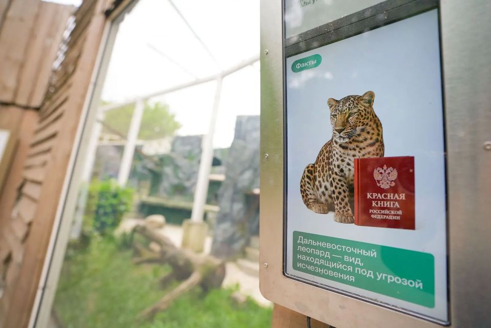 В Московском зоопарке появились специальные экраны с искусственным интеллектом, которые позволяют следить за тем, чем занимаются обитатели вольеров В Московском зоопарке появились специальные экраны с искусственным интеллектом, которые позволяют следить за тем, чем занимаются обитатели вольеров