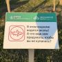 В подмосковном водоёме завелись акулы
