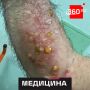 ������� ����� ��������� ��������� �� ����������� � ����� ���� ������ � �������� ������������� ������� �� ���������