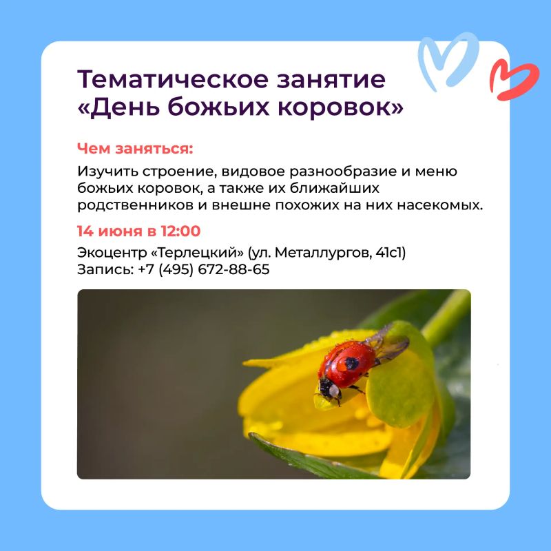 Большие выходные с экопросветителями Большие выходные с экопросветителями