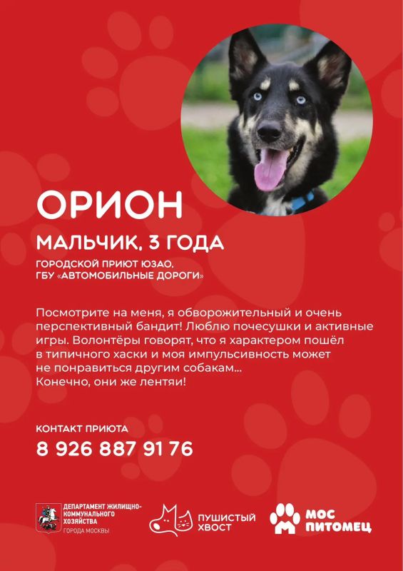 Кто готов подарить дом и заботу верному другу?