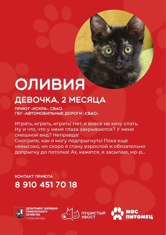 Еще 9 причин заглянуть на «Пушистый хвост» Еще 9 причин заглянуть на «Пушистый хвост»