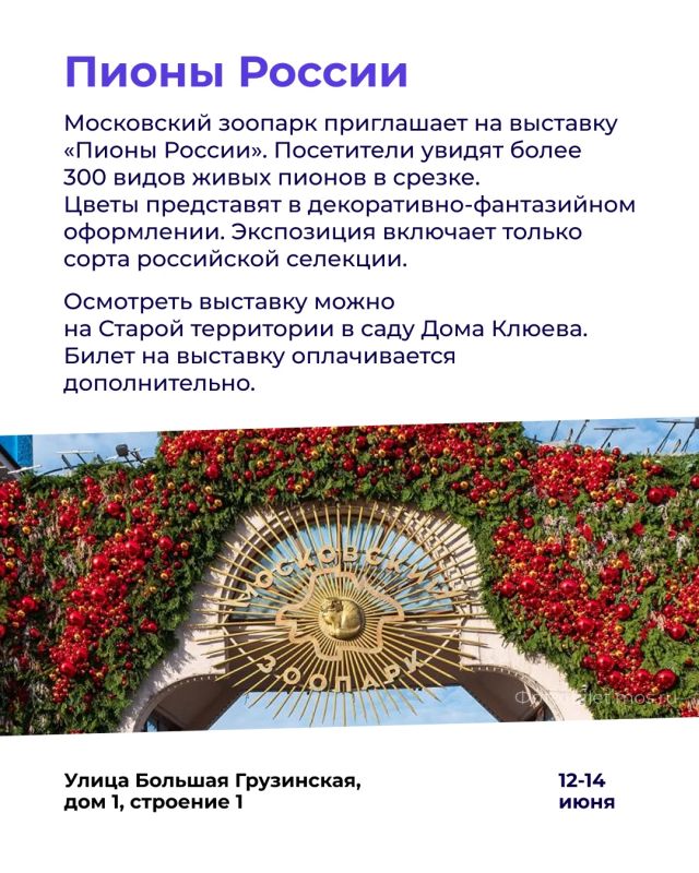 Куда сходить в Москве в праздничные выходные? Куда сходить в Москве в праздничные выходные?