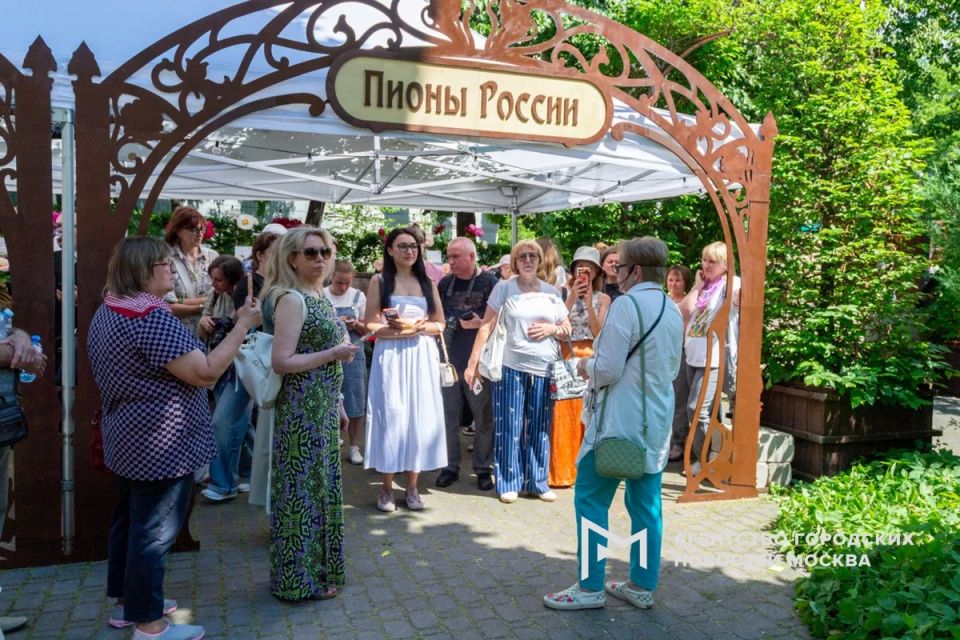 Алые, розовые, жёлтые и белые: более 300 сортов представлены на фестивале «Пионы России»