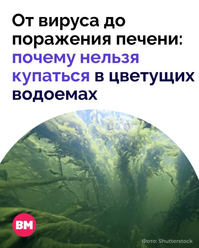 Москва-река в этом сезоне прогрелась сильнее, чем поверхность Черного моря у Сочи и Анапы