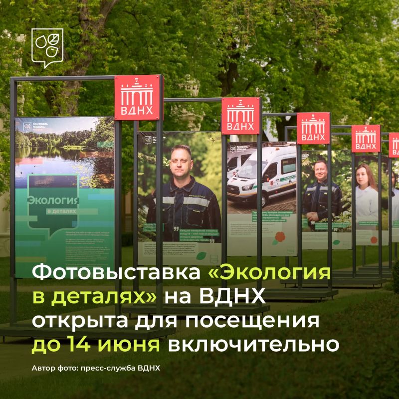 Экология в деталях — люди, которые помогают природе столицы каждый день