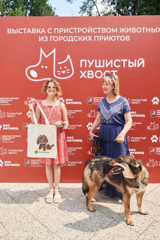 Выставка-пристройство «Пушистый хвост» завершилась, и мы спешим поделиться итогами! Выставка-пристройство «Пушистый хвост» завершилась, и мы спешим поделиться итогами!