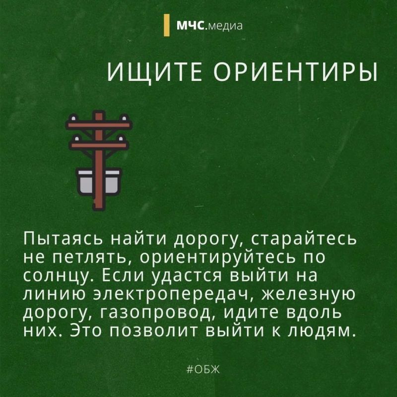 В лес попасть и не пропасть В лес попасть и не пропасть
