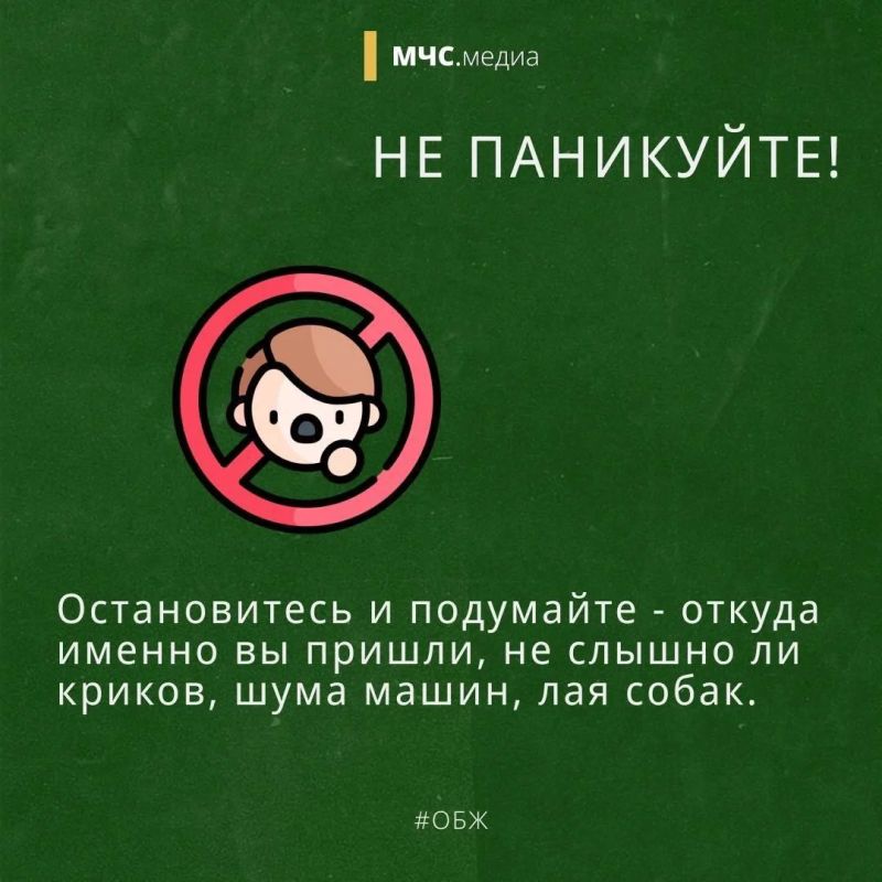 В лес попасть и не пропасть В лес попасть и не пропасть
