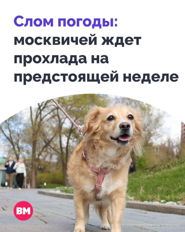 Москвичи, пора достать дождевики: на смену солнечным дням придут дожди и грозы