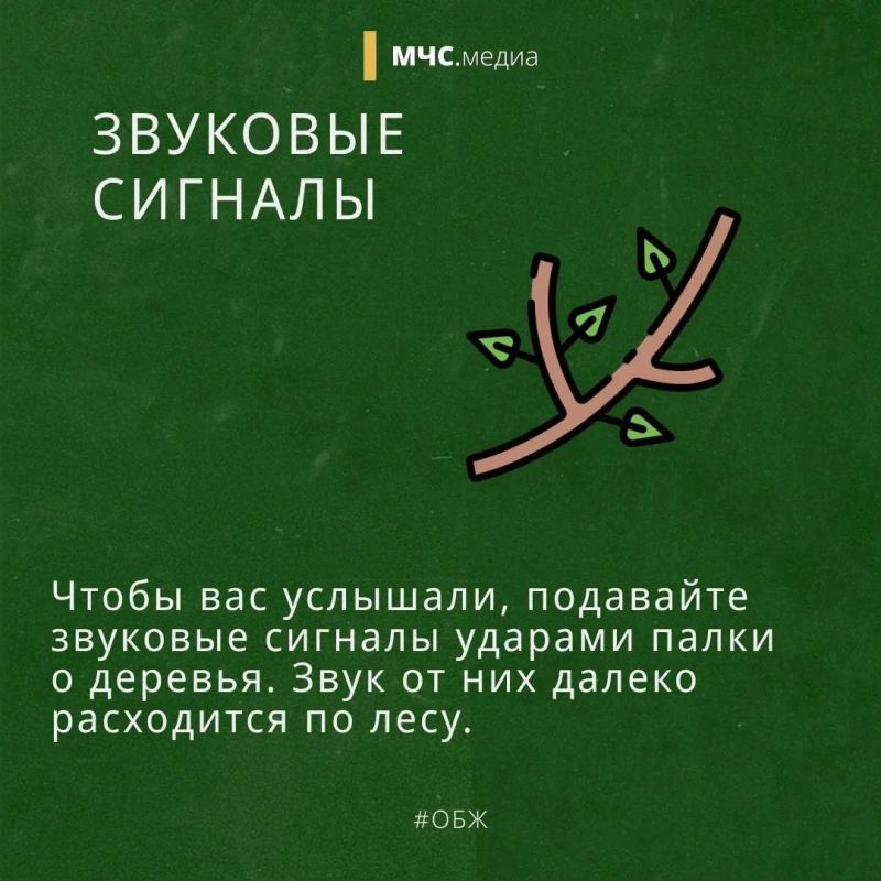 В лес попасть и не пропасть В лес попасть и не пропасть