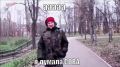 Суд в Москве заблокировал сайт по продаже краснокнижной совы