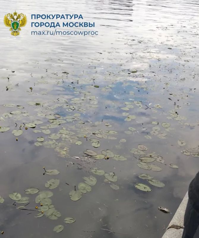 Межрайонная природоохранная прокуратура г. Москвы организовала проверку информации о гибели рыбы в Москве-реке на юге столицы
