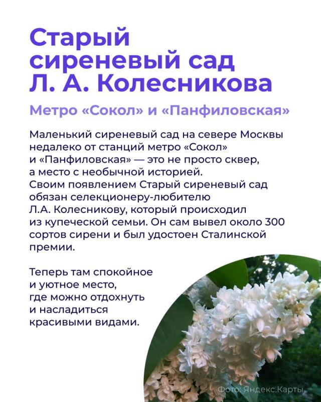 Москва — город с бешеным ритмом жизни, поэтому в нем особенно ценны небольшие зеленые уголки, где можно ненадолго отвлечься от темпа «быстро/срочно/прям сейчас» Москва — город с бешеным ритмом жизни, поэтому в нем особенно ценны небольшие зеленые уголки, где можно ненадолго отвлечься от темпа «быстро/срочно/прям сейчас»