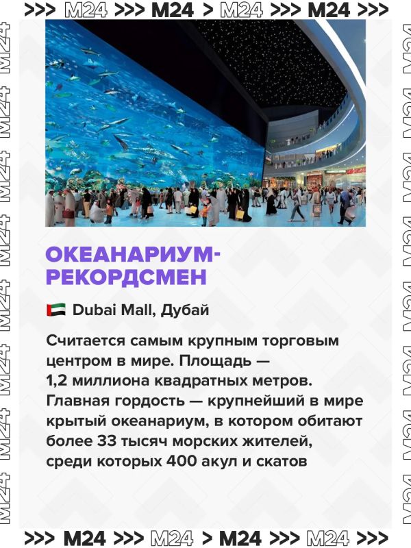 В московском ТЦ появится первый в мире пруд для рыбалки В московском ТЦ появится первый в мире пруд для рыбалки