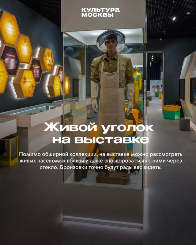 Как «Жужжащий мир» покорил гостей Биокластера Как «Жужжащий мир» покорил гостей Биокластера