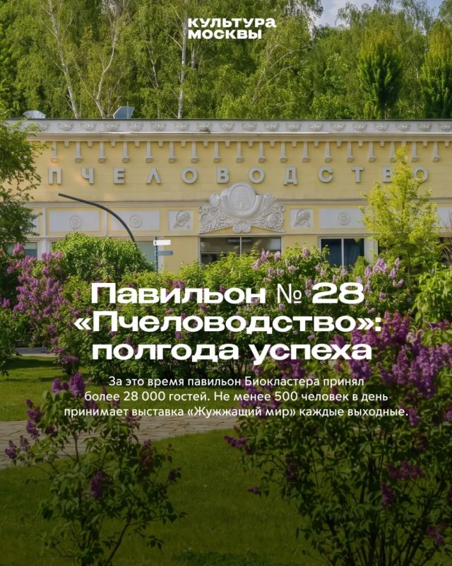 Как «Жужжащий мир» покорил гостей Биокластера