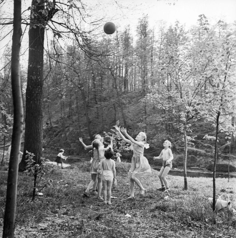 Фотофакт: В одном из уголков Центрального парка культуры и отдыха имени Горького