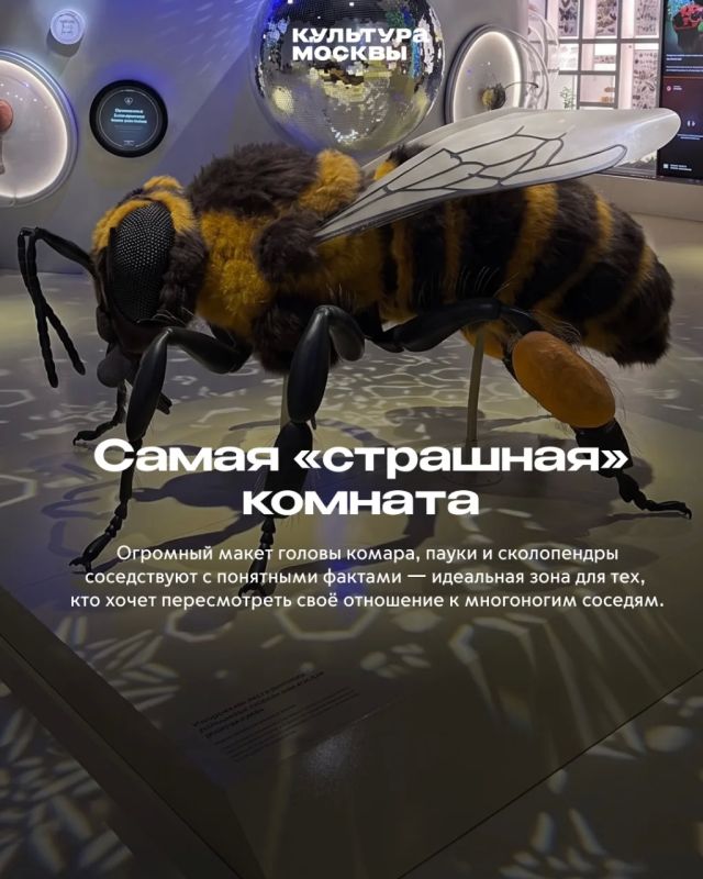 Как «Жужжащий мир» покорил гостей Биокластера Как «Жужжащий мир» покорил гостей Биокластера
