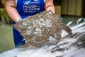 Продегустировать и купить по сниженной цене черноморского калкана можно на рынках «Москва — на волне» с 19 по 21 июня
