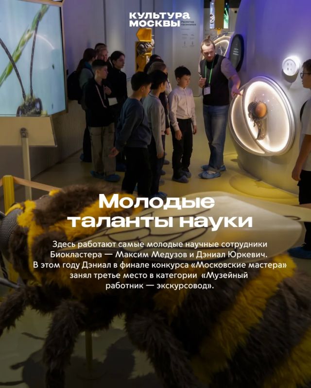 Как «Жужжащий мир» покорил гостей Биокластера Как «Жужжащий мир» покорил гостей Биокластера