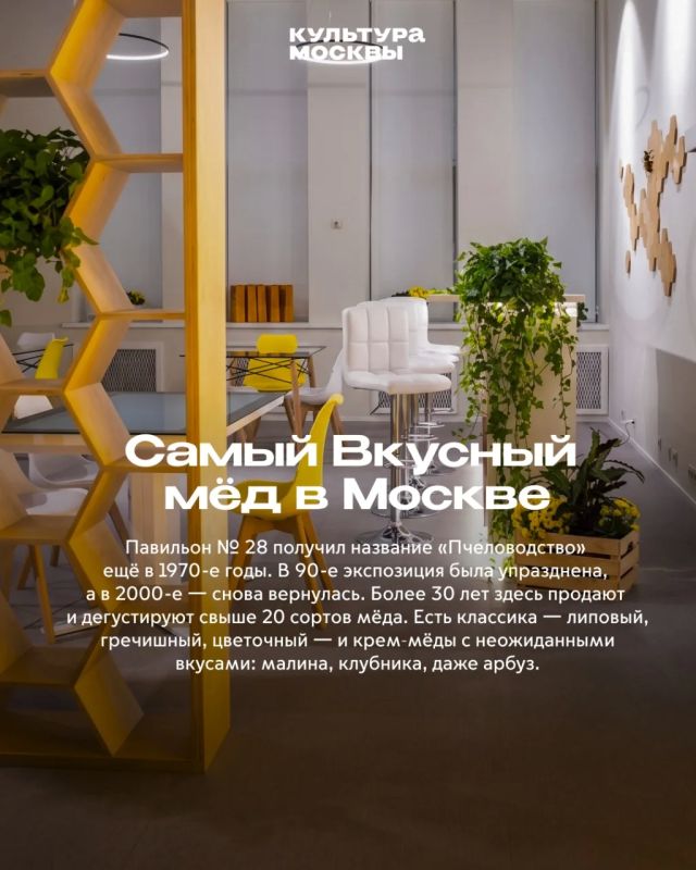 Как «Жужжащий мир» покорил гостей Биокластера Как «Жужжащий мир» покорил гостей Биокластера
