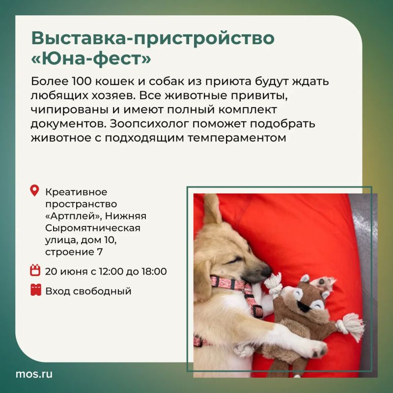 Чем заняться в ближайшие выходные? Вас ждут различные мероприятия: концерт симфонического оркестра, выставка-пристройство пушистиков, театрализованные выводки лошадей и многое другое Чем заняться в ближайшие выходные? Вас ждут различные мероприятия: концерт симфонического оркестра, выставка-пристройство пушистиков, театрализованные выводки лошадей и многое другое