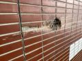 Евгений Лисицын: Дорогие мои подписчики, тяжёлая новость из Подмосковья