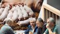 Цены на свинину обрушились: что ждет рынок?