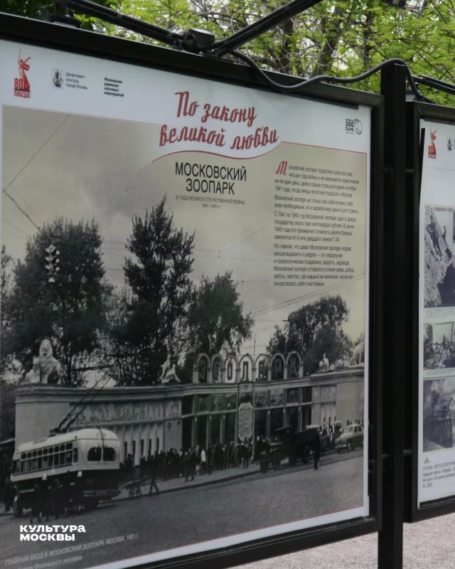 В Москве с февраля 2022 года на бульварах и в парках прошло более 30 фотовыставок о Великой Отечественной войне и 14 — об СВО В Москве с февраля 2022 года на бульварах и в парках прошло более 30 фотовыставок о Великой Отечественной войне и 14 — об СВО