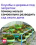 Хотели сделать двор красивее и посадить дерево? Не спешите брать лопату, ведь в некоторых случаях за такую инициативу можно получить штраф до 50 тысяч рублей