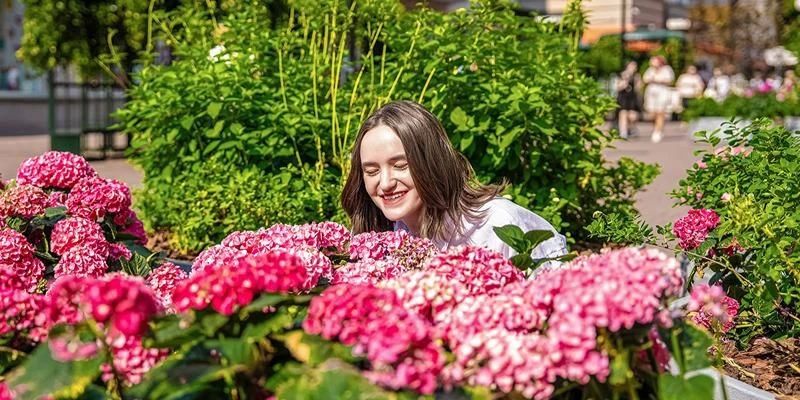 На следующей неделе в Москве ожидается потепление до +25 °C. Днем воздух будет прогреваться до +20...+25 °C, ночи останутся прохладными