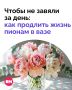 Пионы — это любовь. Но очень требовательная