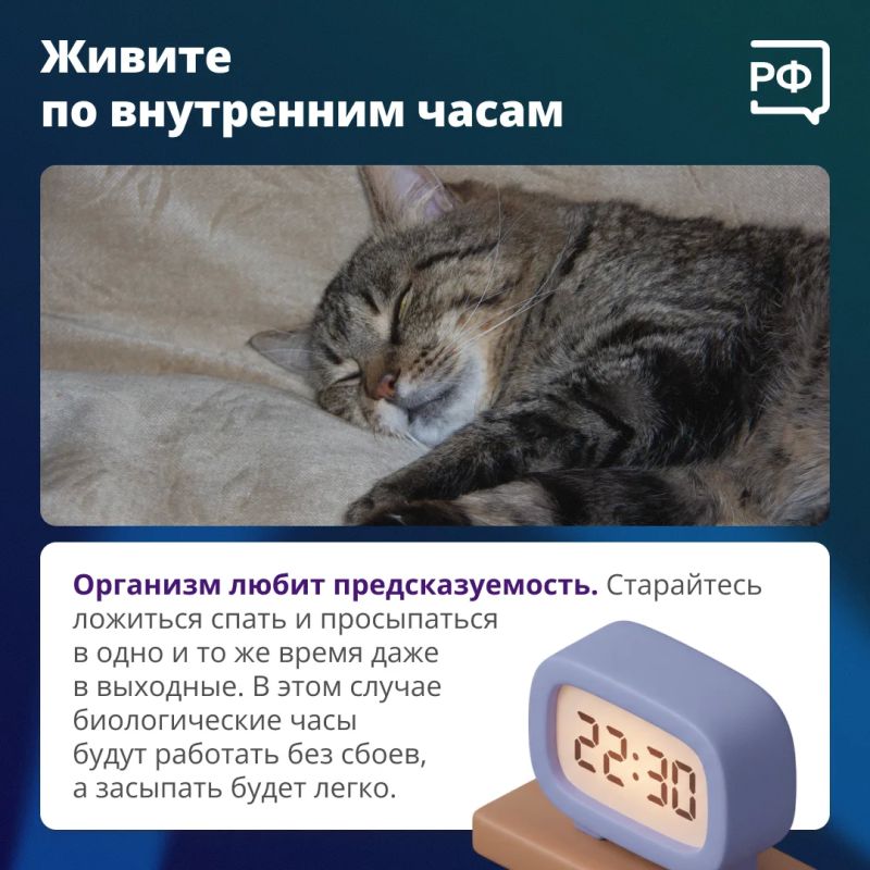 Хороший сон — не суперспособность, а сумма привычек, которые влияют на качество вашего отдыха Хороший сон — не суперспособность, а сумма привычек, которые влияют на качество вашего отдыха