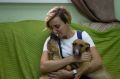 21 июня отмечается День кинолога – профессиональный праздник тех, кто посвятил жизнь изучению поведения собак, их воспитанию и дрессировке