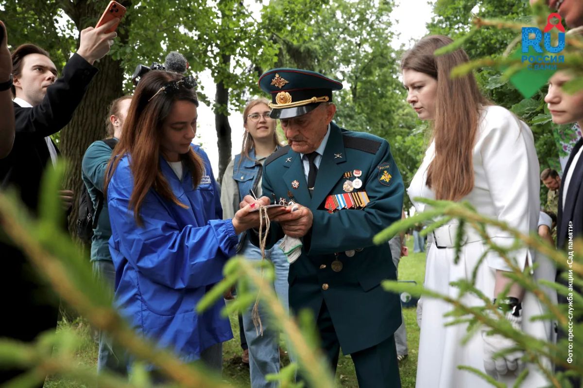 В память о героях Великой Отечественной войны посадят деревья в разных странах мира В память о героях Великой Отечественной войны посадят деревья в разных странах мира